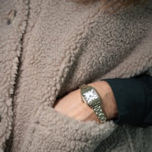 relógio gant seneca