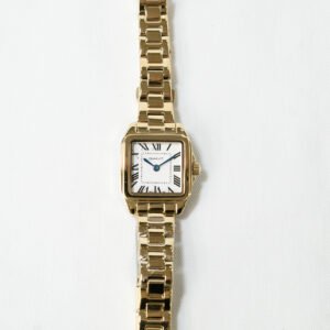 relógio gant seneca